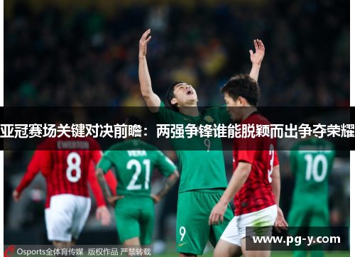 亚冠赛场关键对决前瞻：两强争锋谁能脱颖而出争夺荣耀
