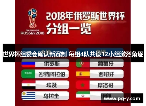世界杯组委会确认新赛制 每组4队共设12小组激烈角逐