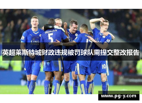 英超莱斯特城财政违规被罚球队需提交整改报告